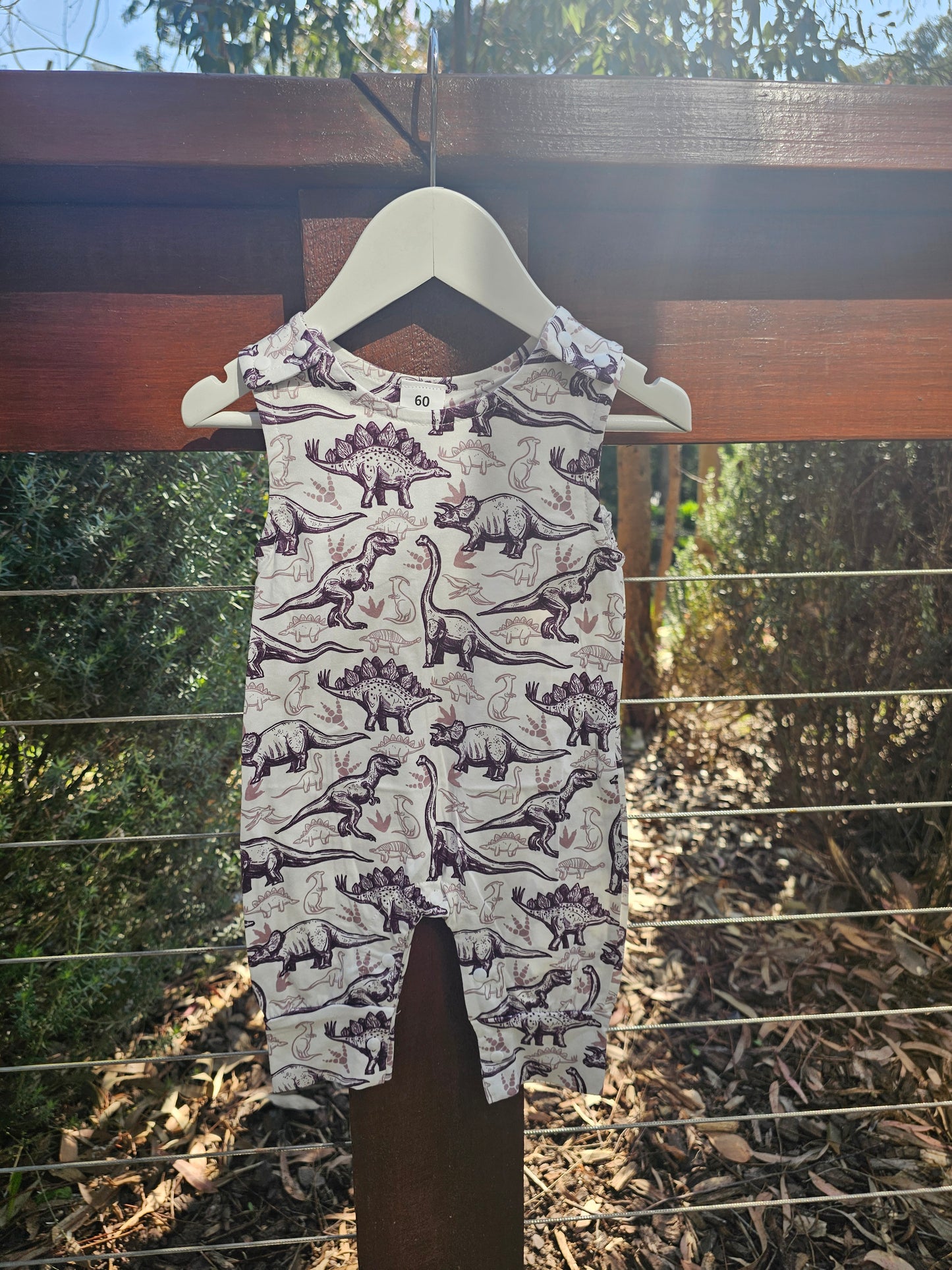 Dinosaur Overall