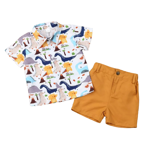 Dinosaur shirt and short set