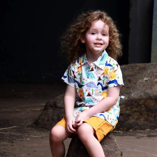Dinosaur shirt and short set