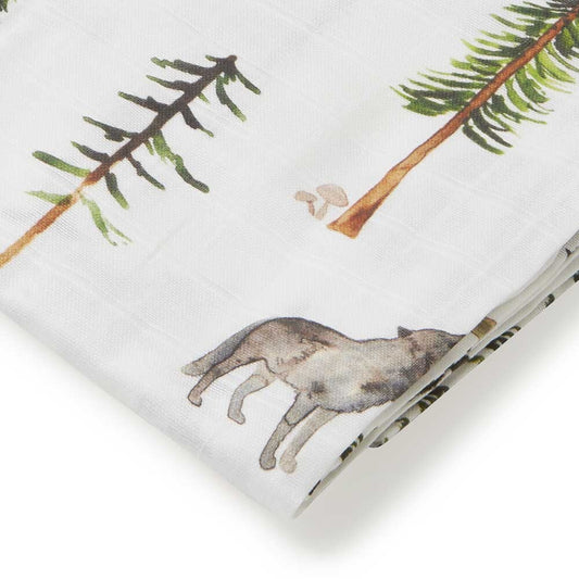 Organic Muslin Wraps